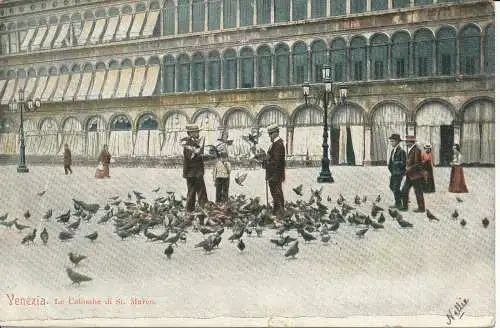 PC27108 Venedig. Die Markustauben. T.E. L. 1907