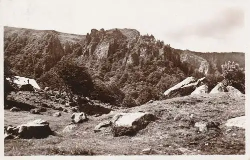 PC31344 Münstertal. Frankental und Martinswand. J. Arnold. Nr. 25