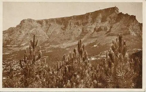 PC31922 Tafelberg mit unteren und oberen Seilbahnhöfen. S. A. C. T.Lt