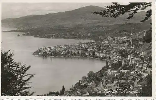 PC27178 Territet. Montreux. Papagei. Nr. 316