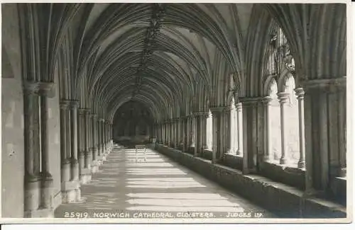 PC35301 Kathedrale von Norwich. Kreuzgänge. Judges Ltd. Nr. 25919. RP