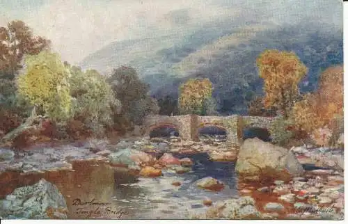 PC33030 Dartmoor Fingle Bridge. Tuck. Öle. Nr. 7074