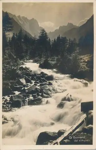 PC30950 Le Durnand Val d Arpette. Papagei. 1925