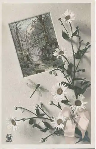 PC33501 alte Postkarte. Blumen. Halbmond. Nr. 3880