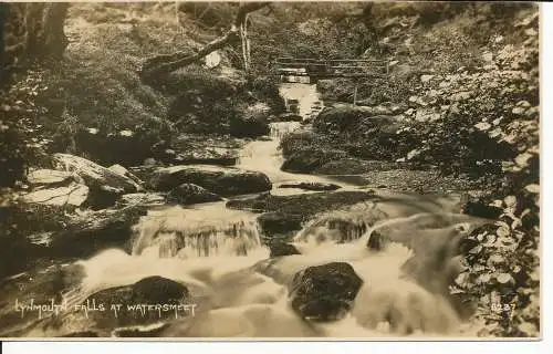 PC29100 Lynmouth Falls bei Watersmeet. Photochrom. Exklusiv. Nr. 8237. RP