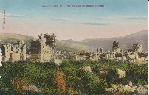 PC29799 Volubilis. Allgemeine Ansicht der römischen Ruinen. F. Allee. Nr. 252