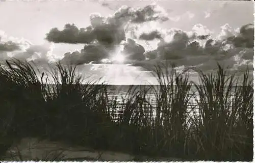 PC32018 Insel Sylt. Abend am Meer. Karl Waak. Agfa. 1956