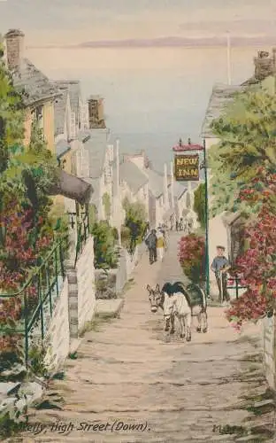 PC27225 Clovelly. High Street. Down