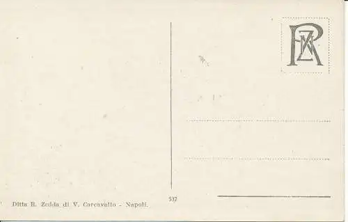 PC33542 Neapel. Panorama. R. Zedda. Nr. 537