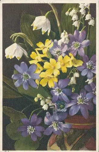 PC29692 Frühlingsblumen. Gyger. Nr. 1458