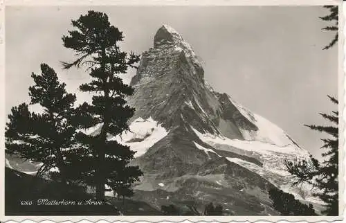 PC32202 Matterhorn u. Arwe. Papagei. 1952