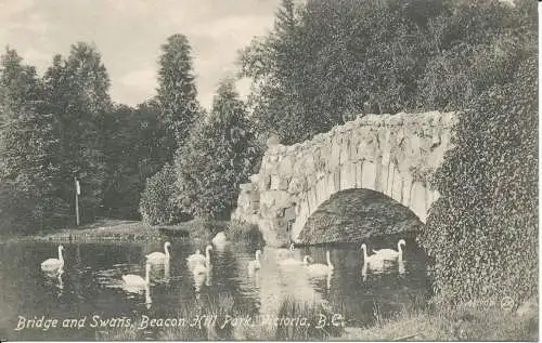 PC33922 Brücke und Schwäne. Beacon Hill Park. Victoria. B. C. Valentinstag