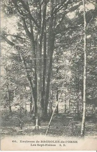 PC31751 Umgebung von Bagnoles de l Orne. Die sieben Brüder. A. D. Nr. 60. 1911