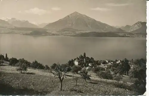 PC31640 Gunten am Thunersee. Niesen. Oscar von Ow. 1955