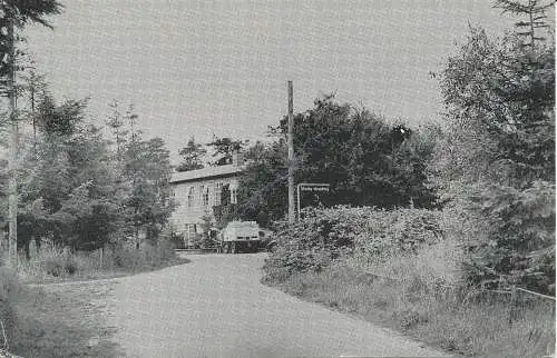 PC31936 alte Postkarte. Straße. LFP. 1959