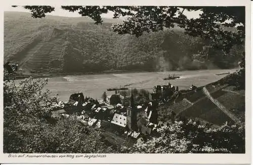 PC32279 Blick auf Assmannshausen vom Weg zum Jagdschloss. Zeitz. Nr. 7077. RP