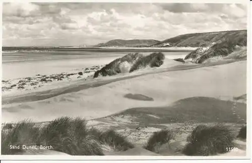 PC33124 Sanddünen. Borth. Lachs. Nr. 11580. RP