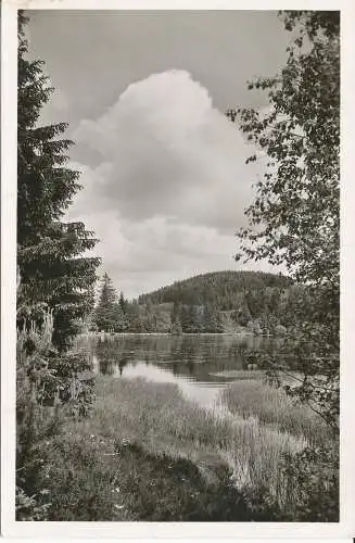 PC31836 Mathisleweiher bei Hinterzarten. Schwarzwald 1112m u.M.K. Reinold. Nein