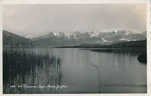 PC27540 am Thunersee. Eiger. Mönch Jungfrau. Papagei. Nr. 11072