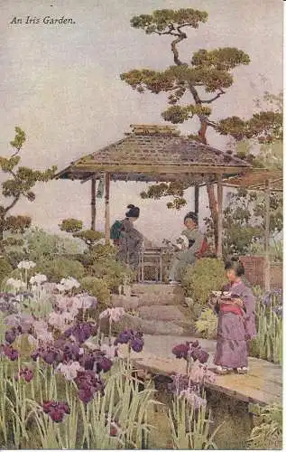 PC33691 Ein Irisgarten. Japan. A. und C. Schwarz. Nr. 35