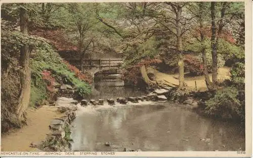 PC24629 Newcastle auf Tyne. Jesmond Dene. Trittsteine. Photochrom. Nr. 66498