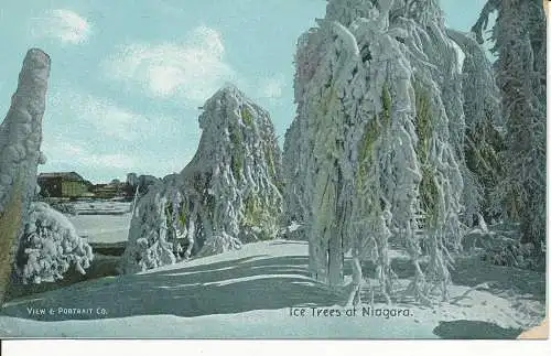 PC27106 Eisbäume bei Niagara. Ansicht und Porträt. 1908