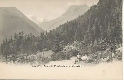 PC32280 Route de Finshauts und Mont Blanc. Jullien Freres. Nr. 1677