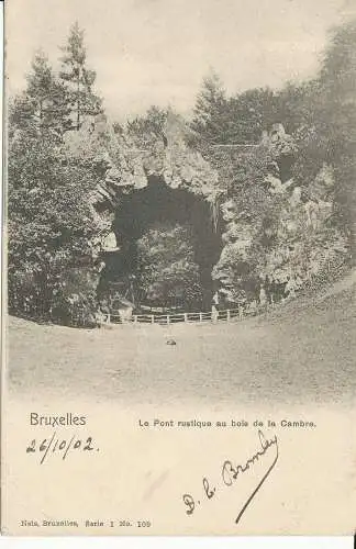 PC32123 Brüssel. Die rustikale Brücke aus dem Cambre-Holz. Nels. Nr. 109. 1902