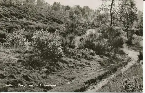 PC33940 Holten. Ravijn op de Holterberg. M.V.d. Maat. 1967