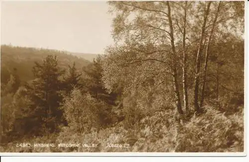 PC34547 Hinterkopf. Nutcombe Valley. Judges Ltd. Nr. 24883. RP