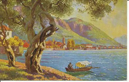 PC34298 Alte Postkarte. Berg und Dorf in der Nähe des Flusses. Flusen. Nr. 249
