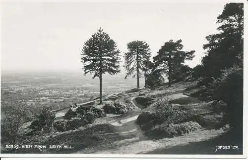 PC334854 Blick vom Leith Hill. Judges Ltd. Nr. 20569. RP