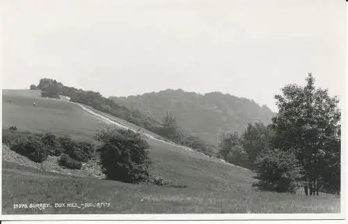 PC334859 Surrey. Box Hill. Judges Ltd. Nr. 13070. RP