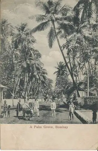 PC36579 A Palm Grove. Bombay. 1927. B. Hopkins