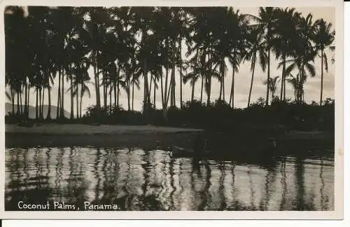 PC37030 Kokospalmen. Panama. B. Hopkins