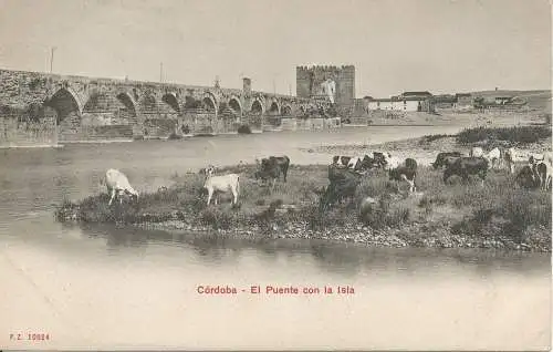 PC37605 Cordoba. Die Brücke zur Insel. P.Z. 10624. B. Hopkins