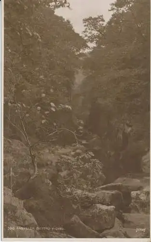 PC35454 Fairy Glen. Bettws Y Coed. Judges Ltd. Nr. 3018. RP