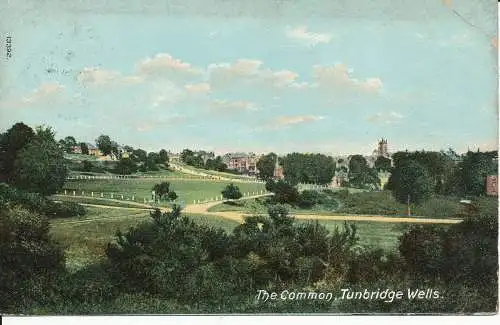 PC35962 The Common. Tunbridge Wells. 1905