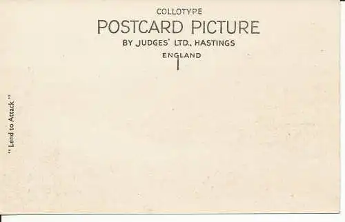 PC35915 Napes Nadel. Toller Giebel. Judges Ltd. Nr. 16929