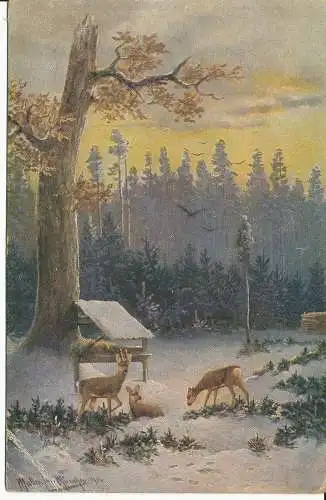 PC36021 alte Postkarte. Schnee im Wald. Hildesheimer. Nr. 5272. 1905. B. Hopkins