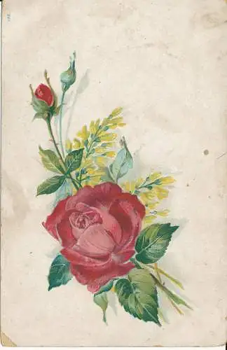 PC38680 alte Postkarte. Rote Rose. B. Hopkins