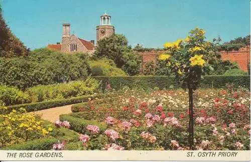 PC36131 Die Rosengärten. St. Osyth Priory. Saphir