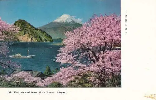 PC36022 Mt. Fuji vom M ito Beach aus gesehen. Japan