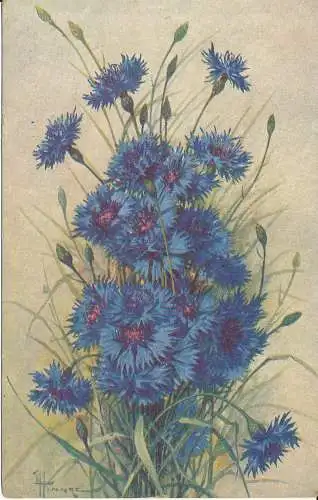 PC38926 Die schönsten Blumen. Polychrom. Nr. 1051. B. Hopkins