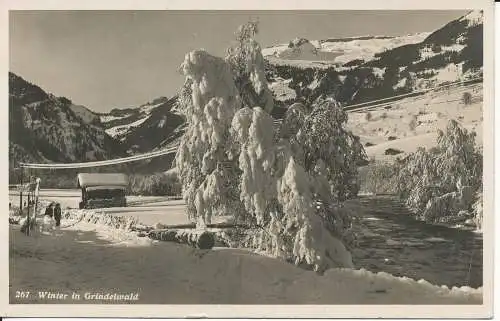 PC39711 Winter in Grindelwald. Schweiz. B. Hopkins