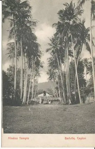 PC40016 Hindu-Tempel. Badulla. Ceylon. Teller. B. Hopkins