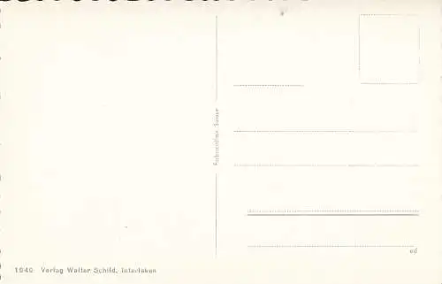 PC39793 Berner Oberland. Multi-View. Walter Schild