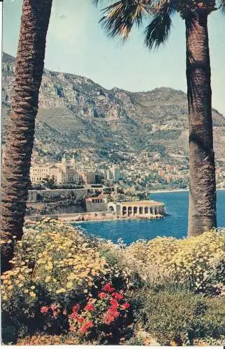 PC38202 Monte Carlo. Das Casino und das Taubenschießen vom neuen Tor aus gesehen. 1957