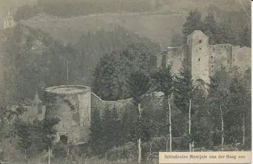 PC39950 Schlossruine Montjoie von der Haag aus. J.G. Salzburg. B. Hopkins