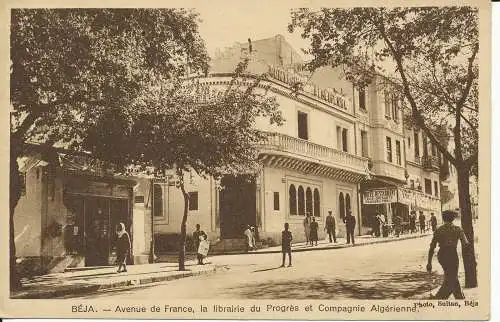 PC38217 Beja. Avenue de France La Librairie du Progres et Compagnie Algerienne.